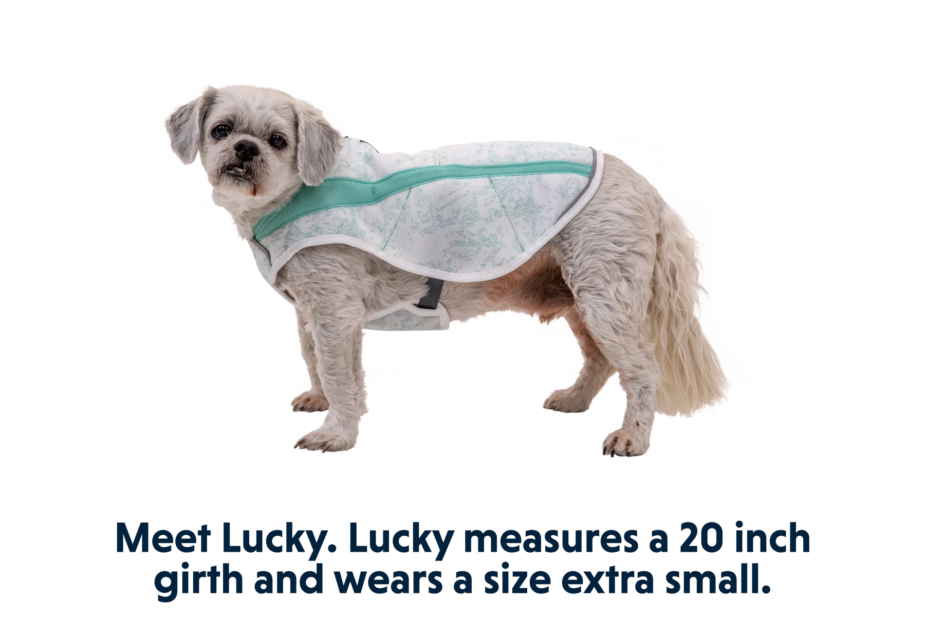 Product image 41